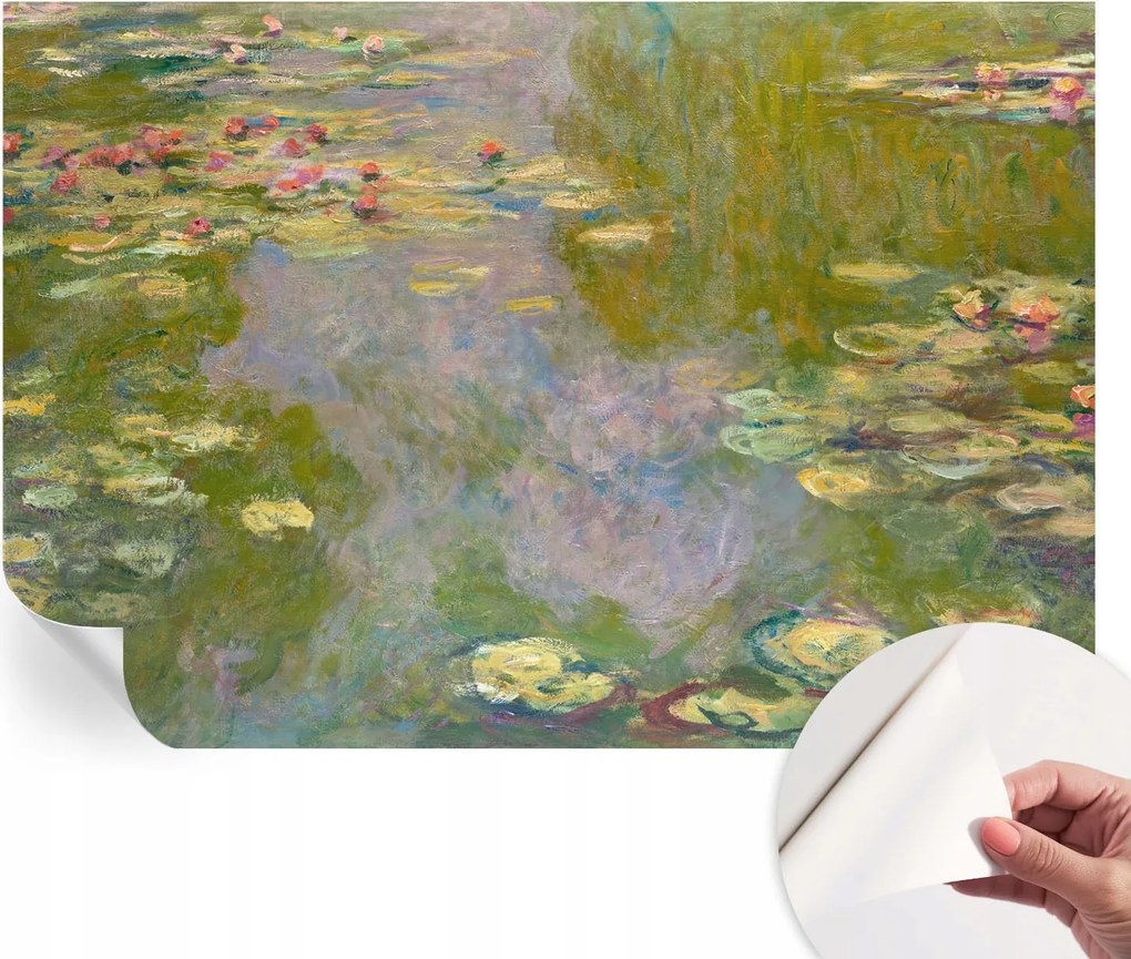 Öntapadós Dekoratív Fotótapéta Hálószobába Vízi liliomok 152x104 cm