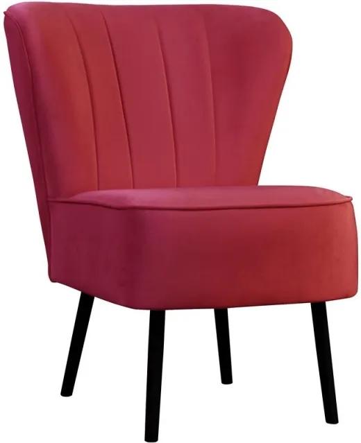 Stílusos fotel Kamden - különféle színek