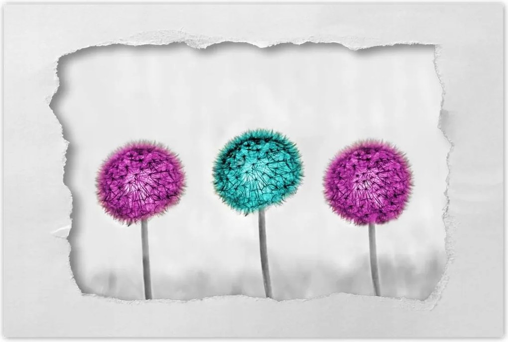 Poszterek 120x80 Lila pitypangok