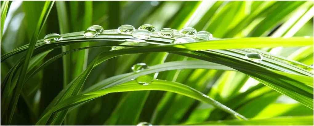 Lacobel konyhai szekrények alá Fűcseppek XXL