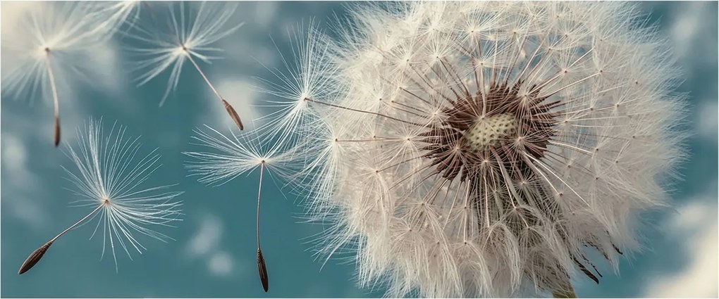 Fotótapéta Flizelin az Otthon szobájába 3D Könnyű éteriség 250x104 Ragasztó