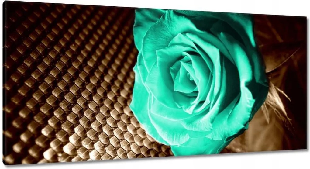 Vászonkép 115x55 Türkiz rózsa szépia