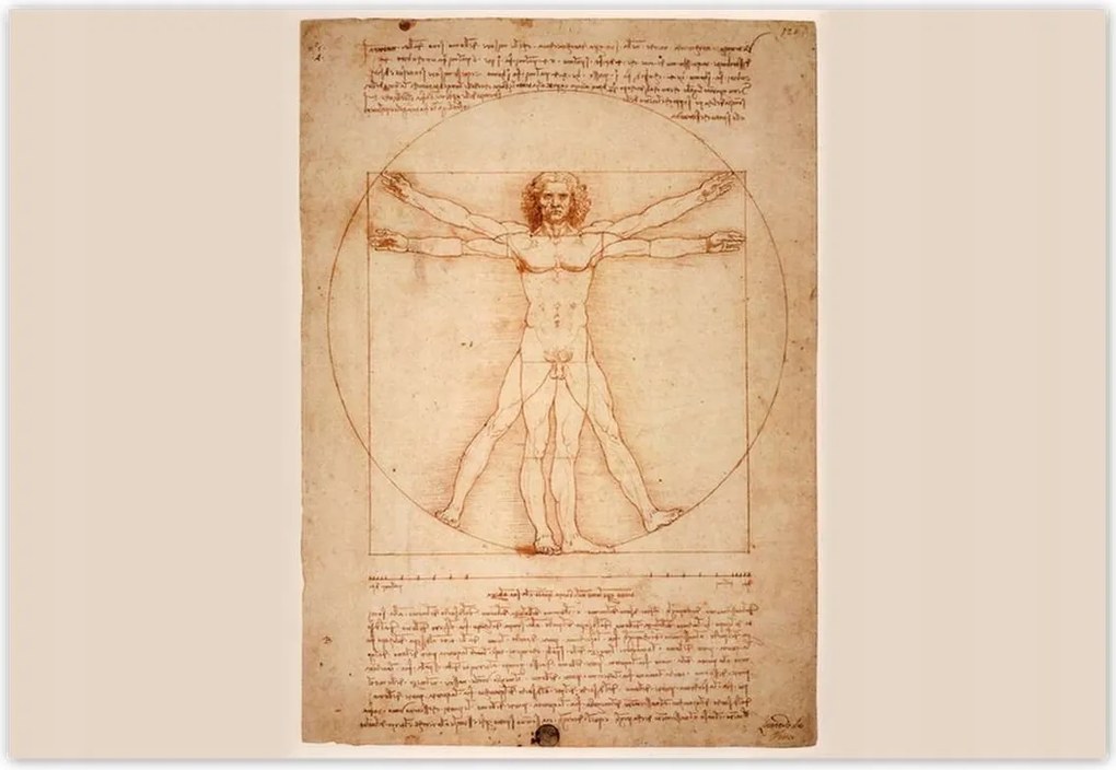 Fotótapéták 152x104 Vitruvius ember