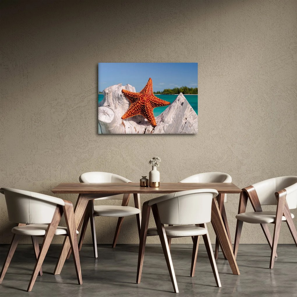 Egy tengeri csillag képe (70x50 cm)