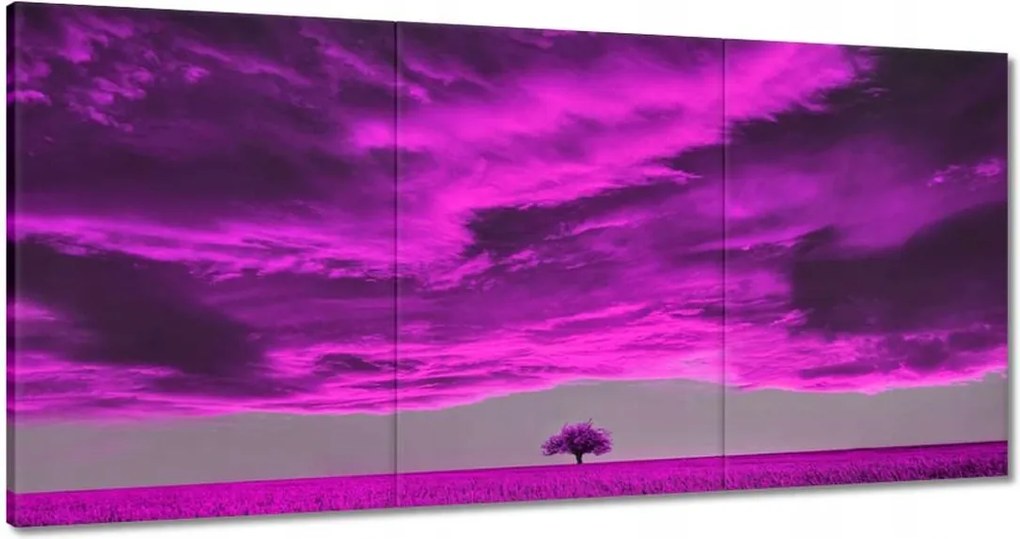 Festmények 180x90 Lila tájkép