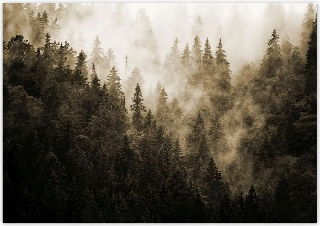 Fotótapéták 208x146 Tájkép Szépia Hegyek Köd