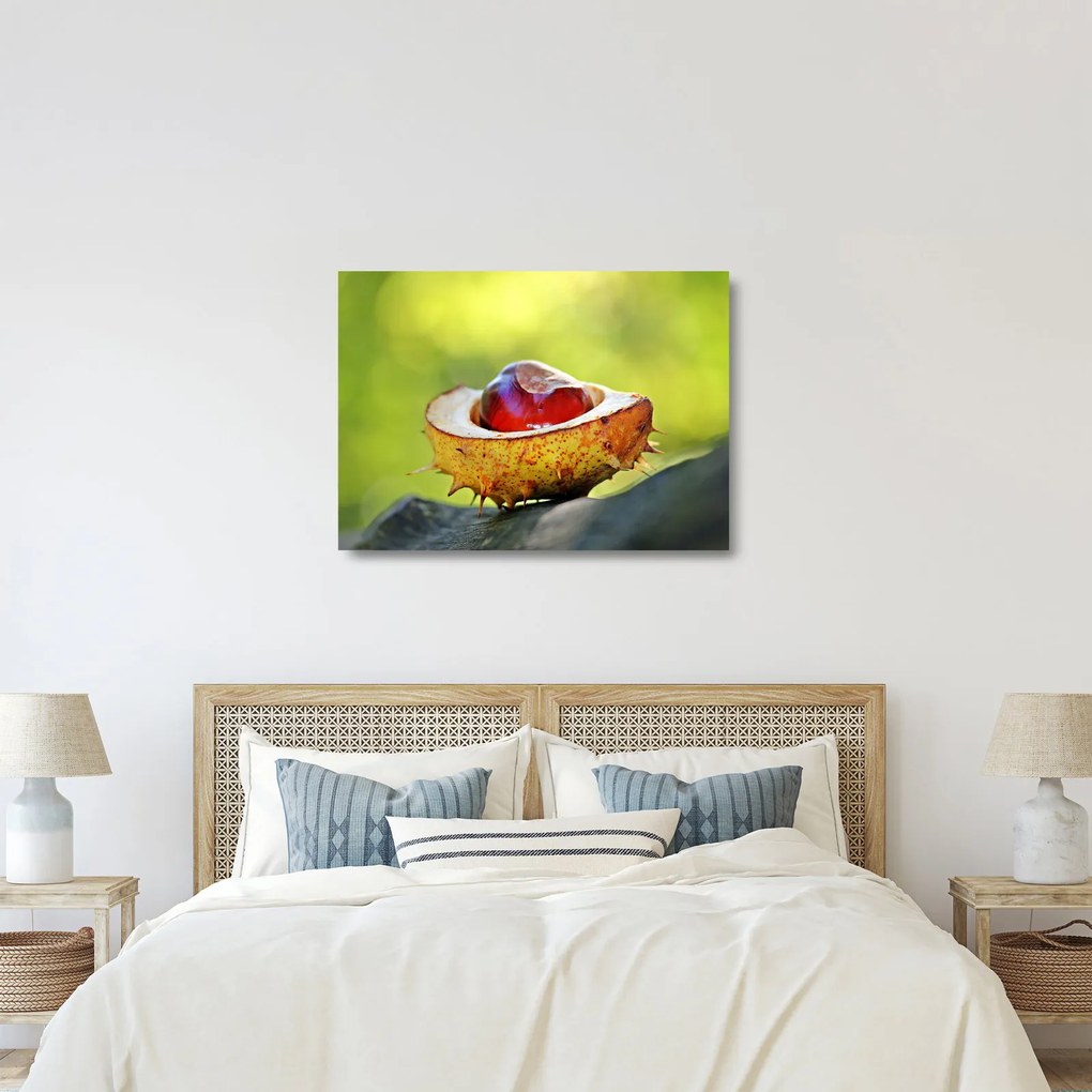 Gesztenye képe (üvegen) (70x50 cm)