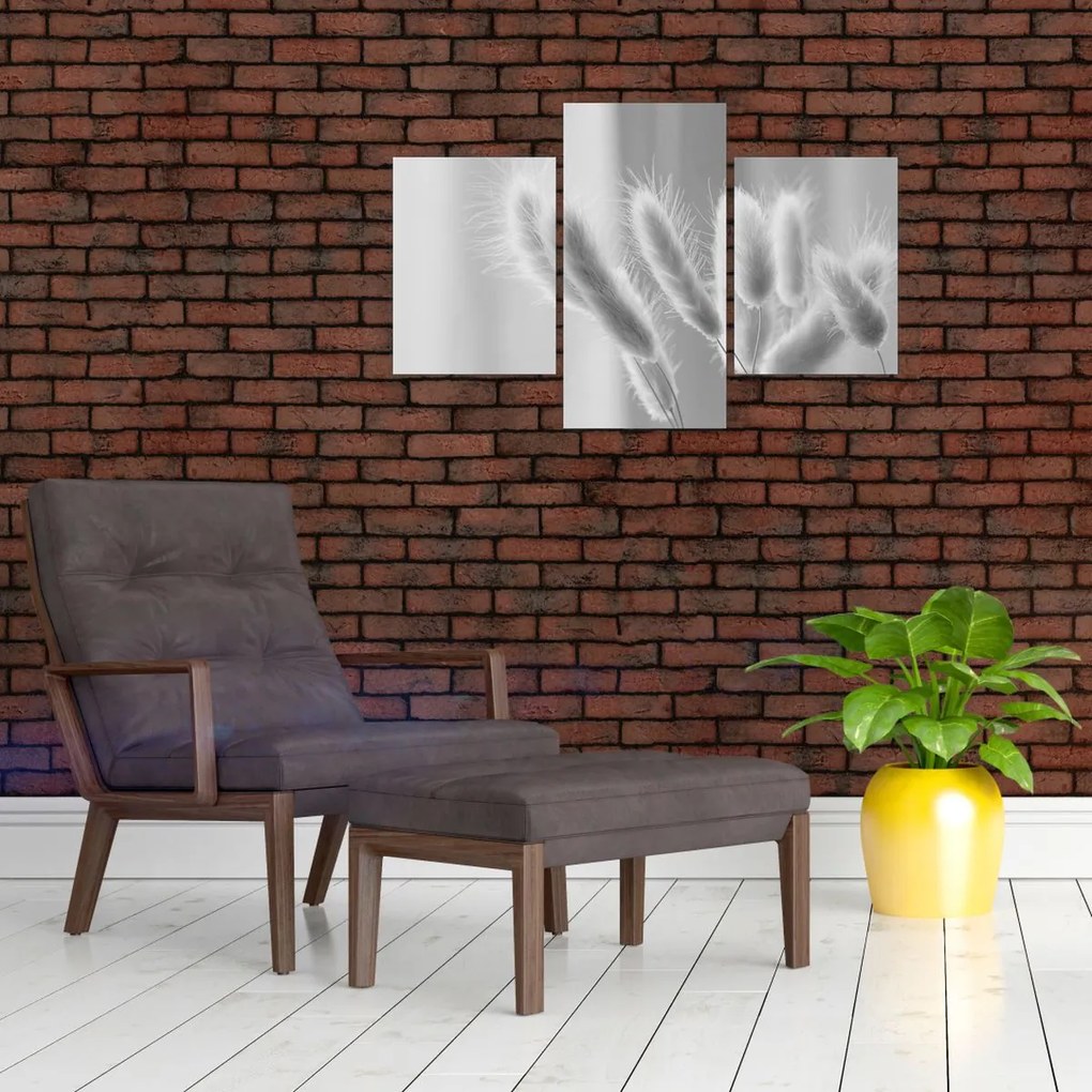 Kép - Nyuszi farok fű (90x60 cm)