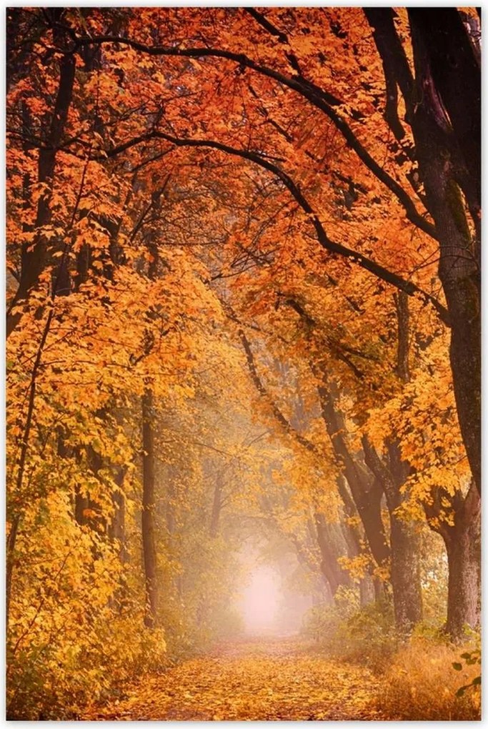 Poszterek 80x120 Őszi kilátás