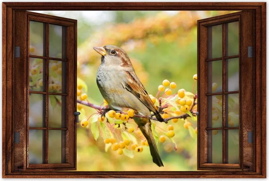 Poszterek 90x60 Madarak