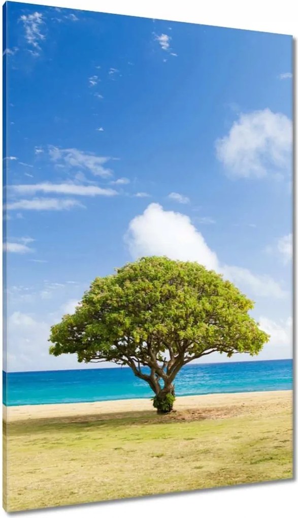 Vászonkép 80x120 Tájkép fával