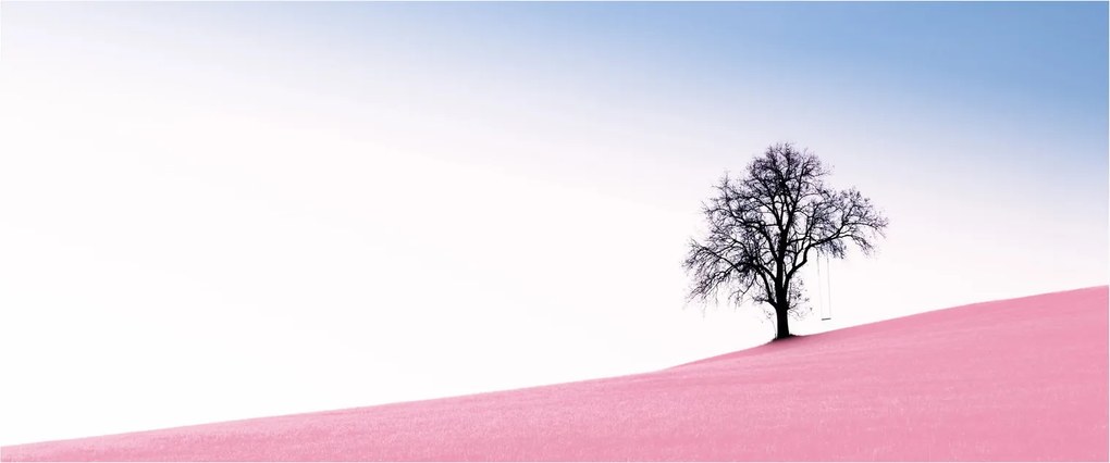 Kép - Rózsaszín álom (120x50 cm)