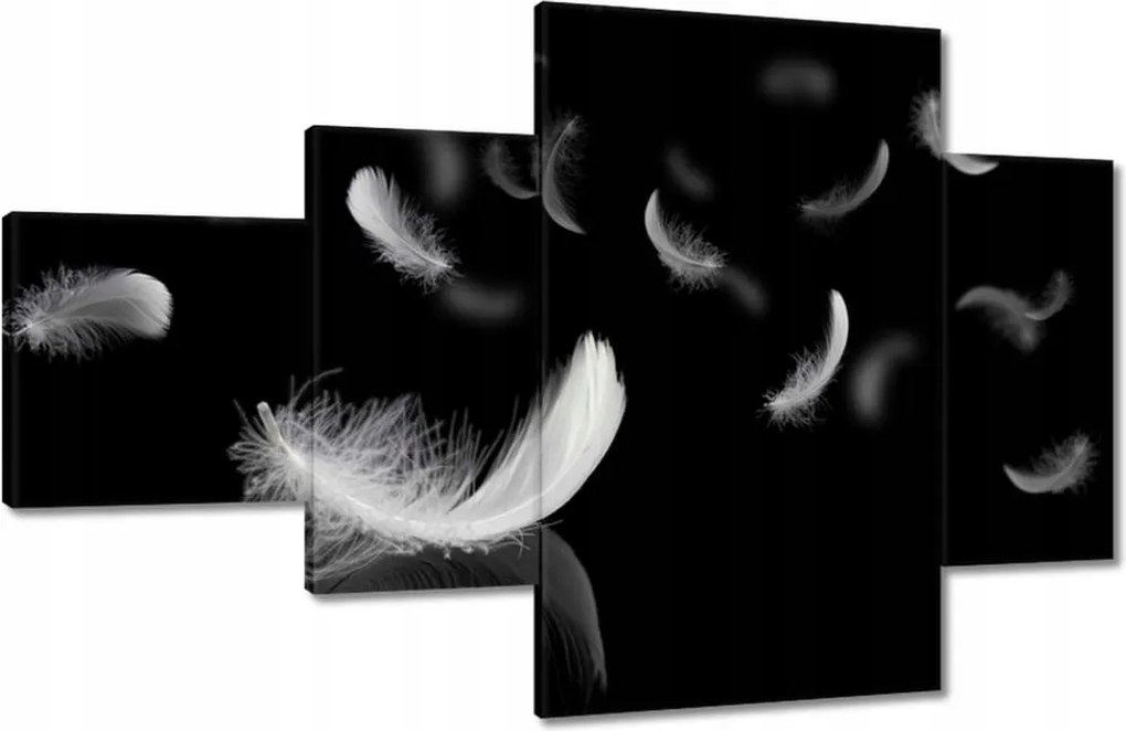 Vászonkép 130x80 Hulló fehér tollak