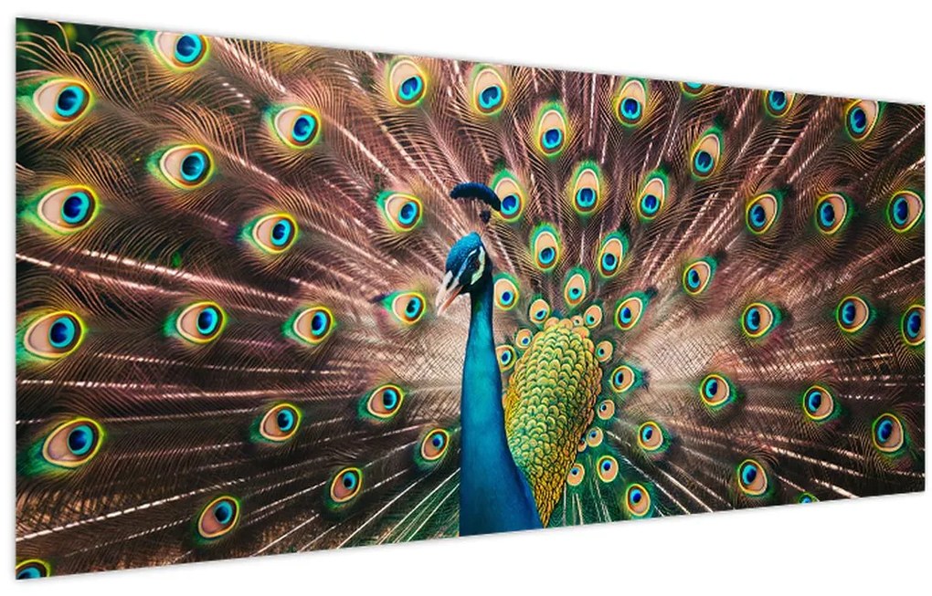 Kép - Páva (120x50 cm)