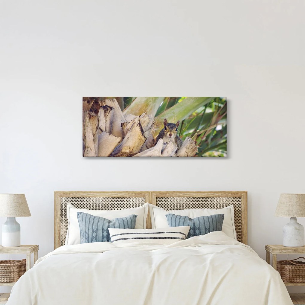 Mókus képe a fán (120x50 cm)
