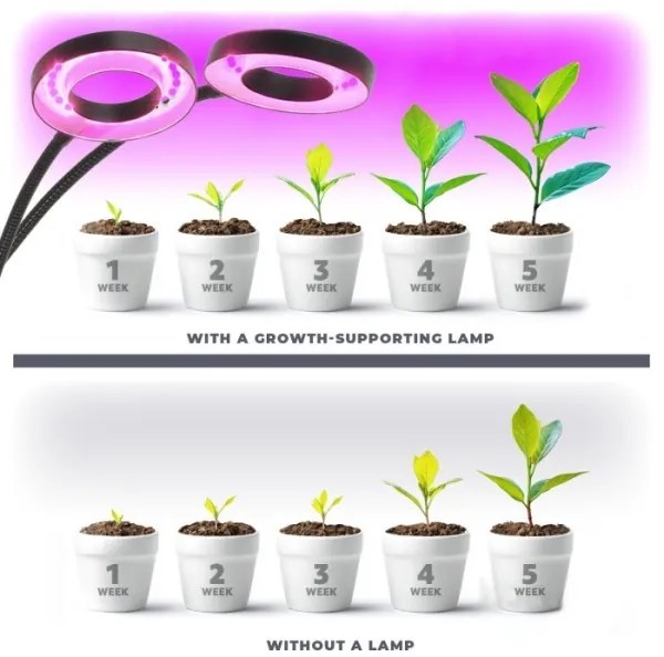 LED flexibilis asztali lámpa csipesszel növényekhez VITARO 2xLED/4W/230V fekete