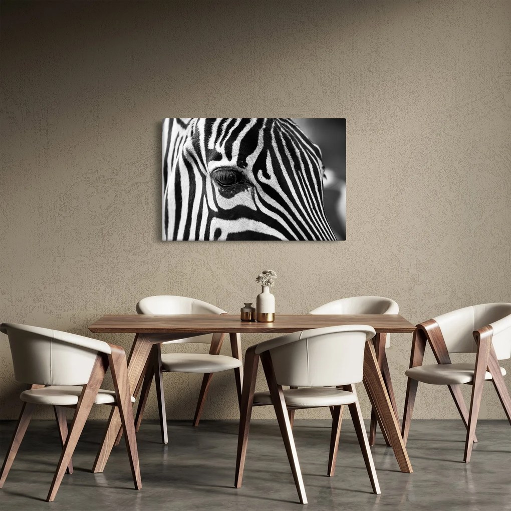 Zebra képe (90x60 cm)