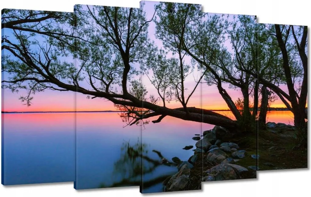 Vászonkép 100x60 Sziklák Fa Tó