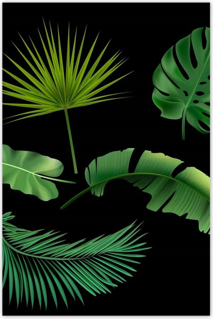 Poszterek 80x120 Trópusi zöld levelek