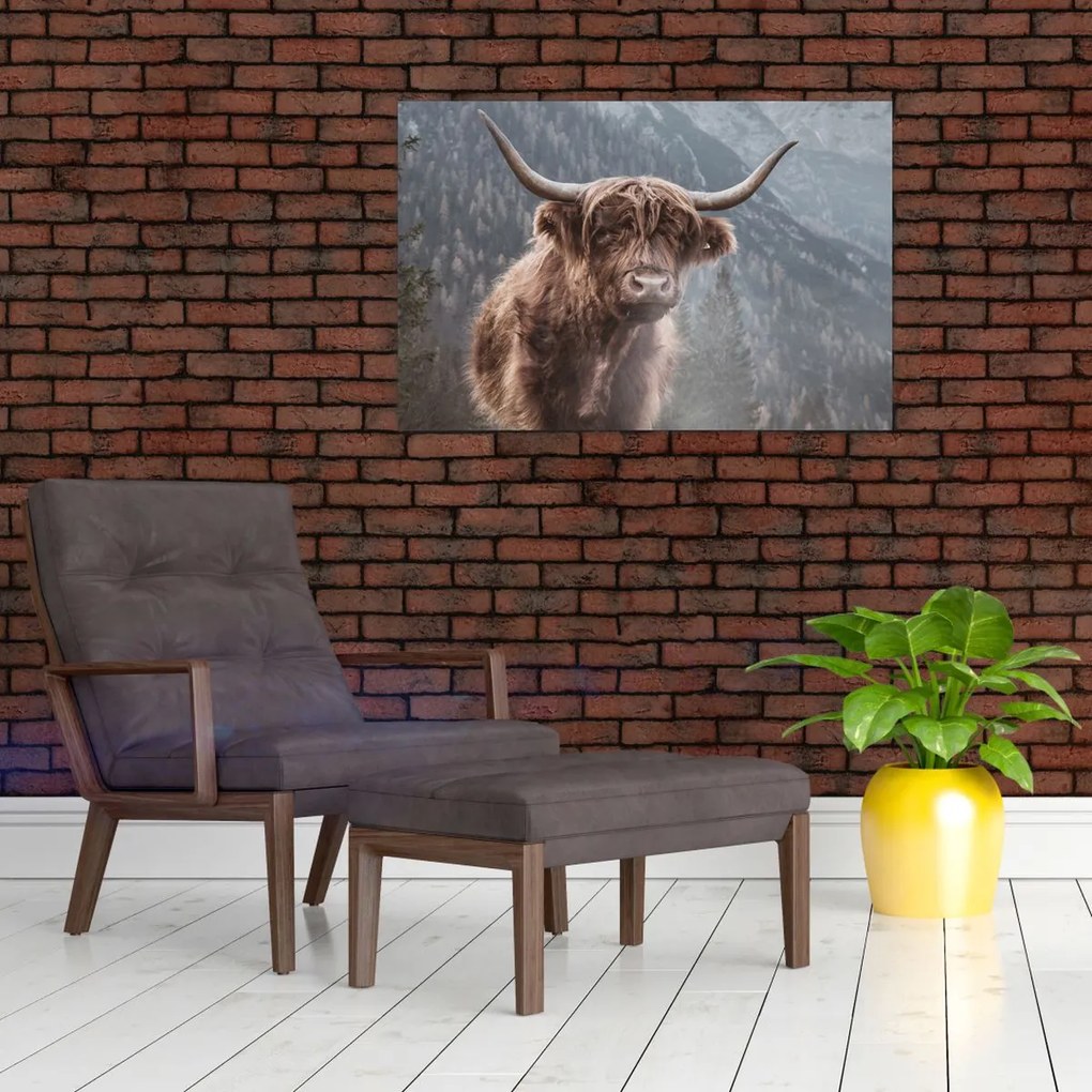 Kép - Highlander tehén (90x60 cm)