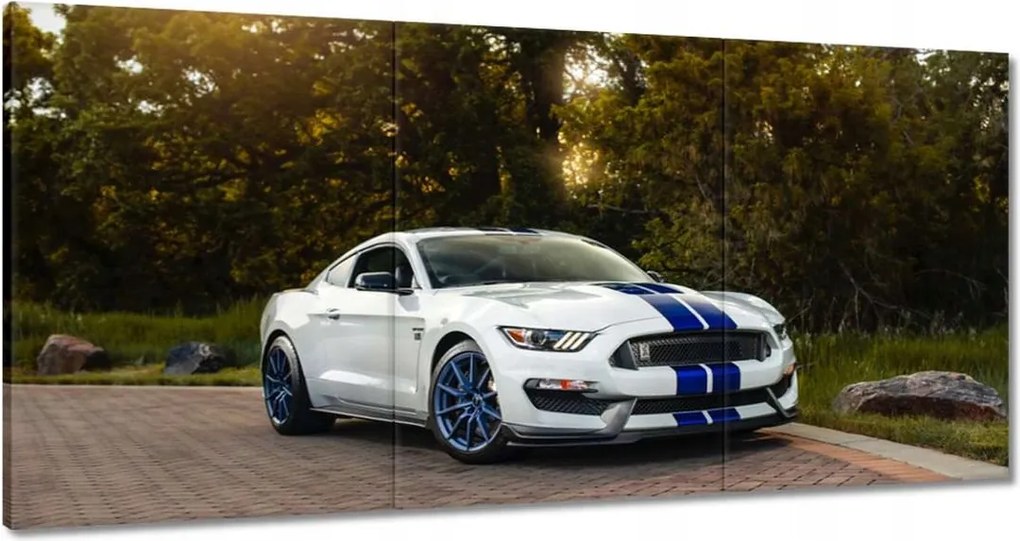 Vászonkép 60x30 Sportos Ford Mustang