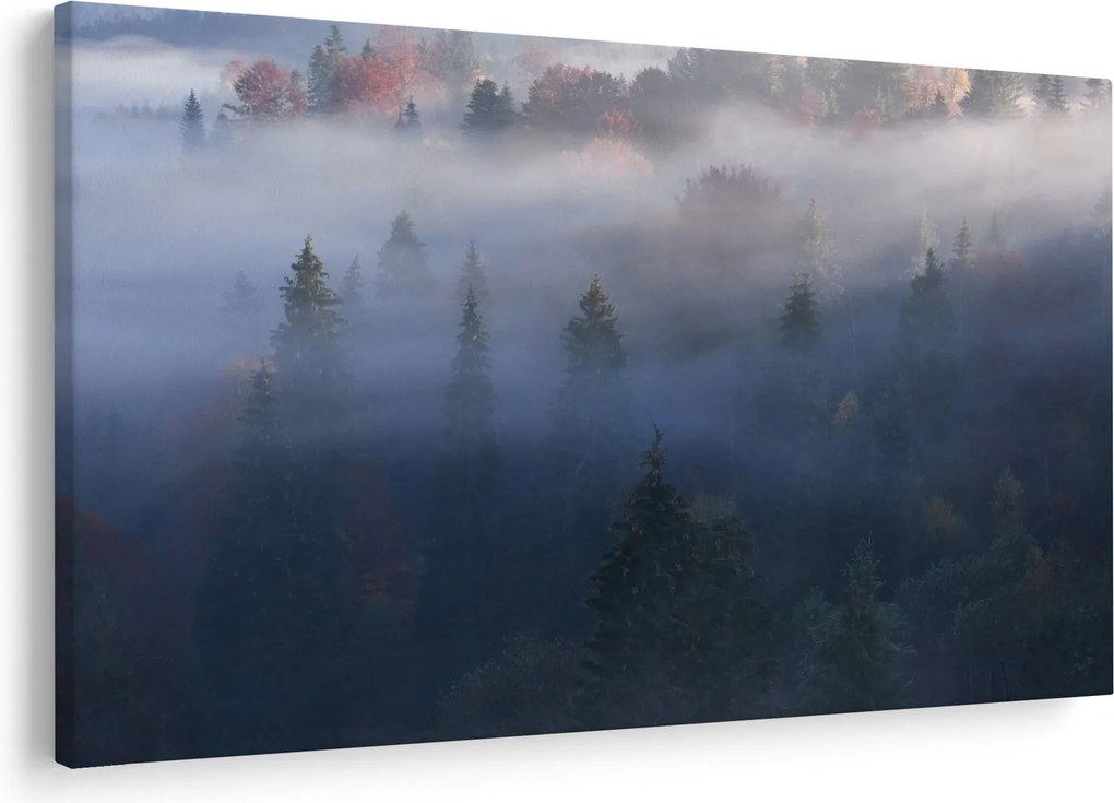 Kép - erdő a ködben, Carpathians, Ukraina (90x60 cm)