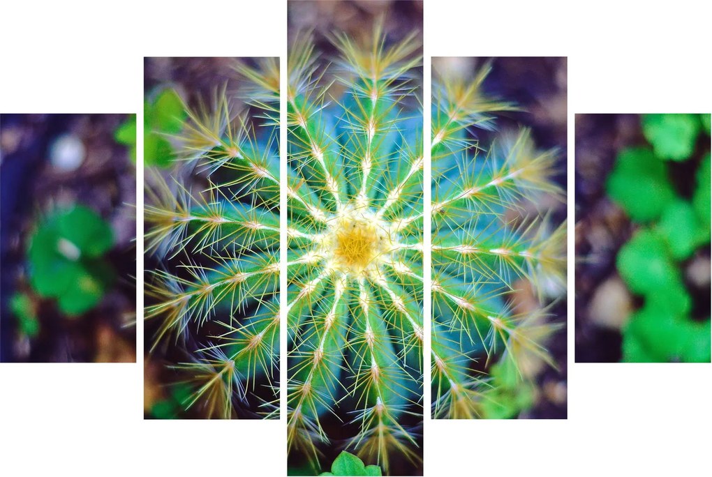 Kaktusz kép (150x105 cm)
