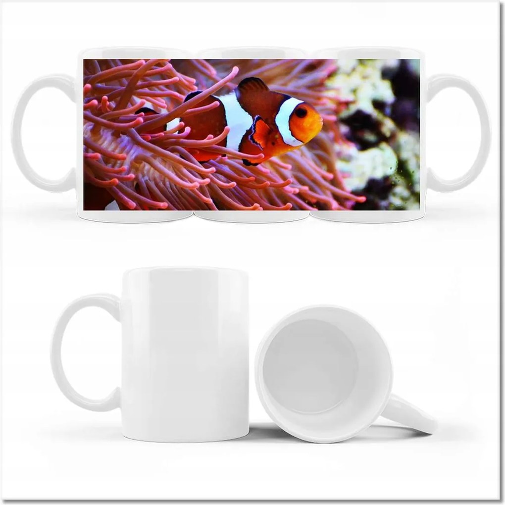 Fényképes bögre Sügér bohóc a zátonyon