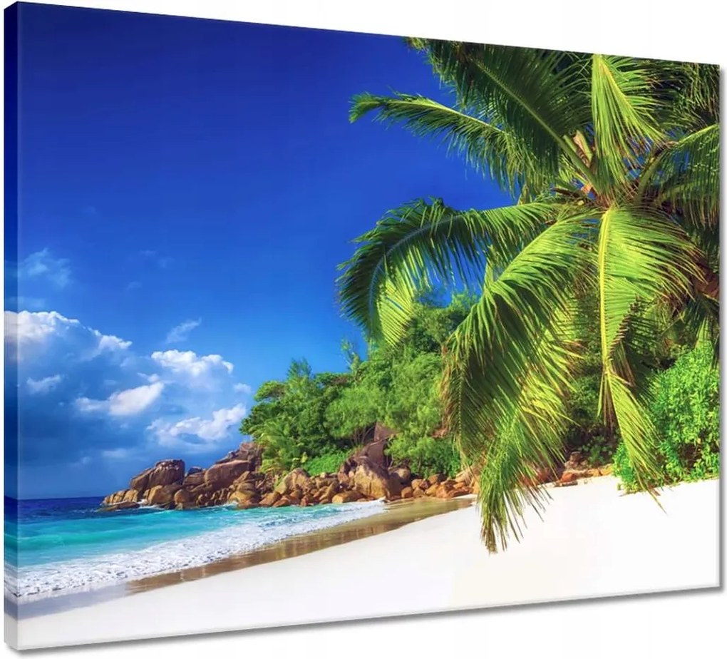 Vászonkép 50x40 Trópusok Tájkép Pálmafák