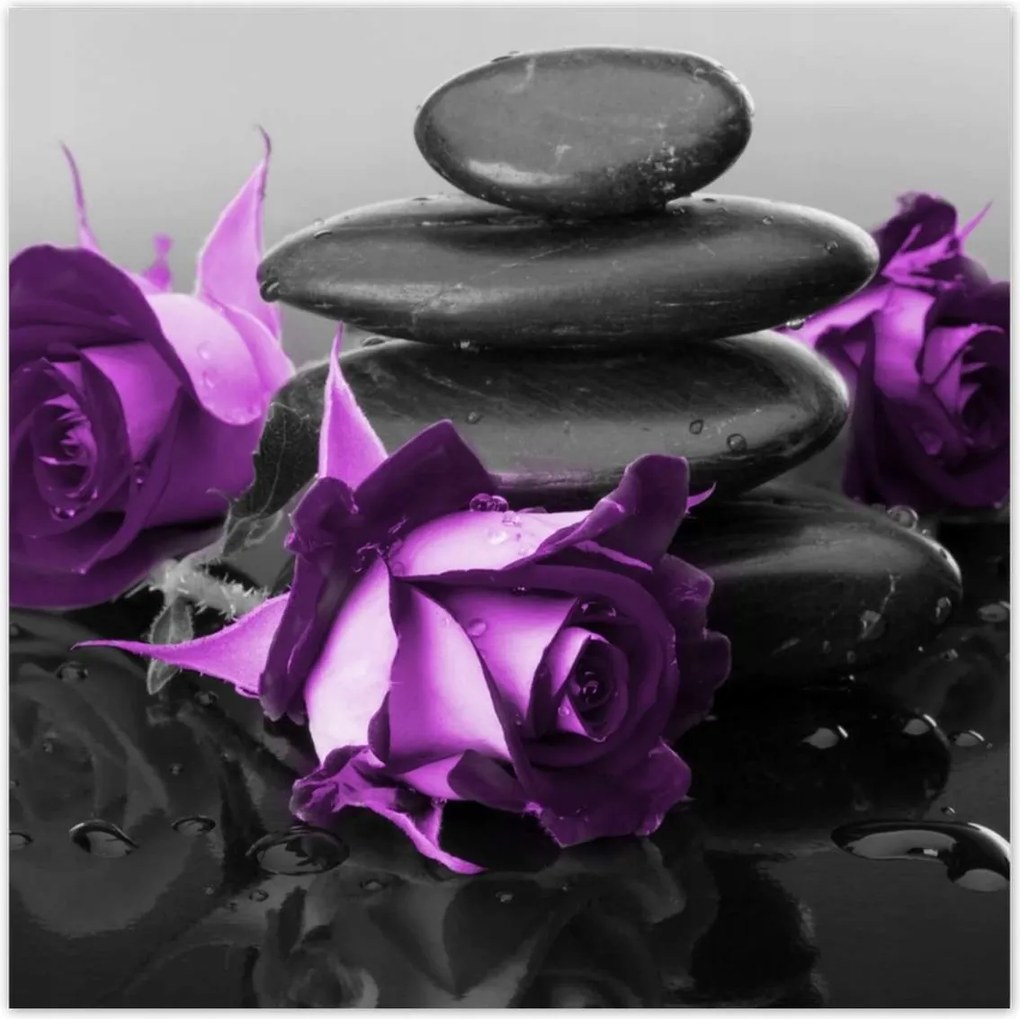 Poszterek 30x30 Lila rózsák Spa kő