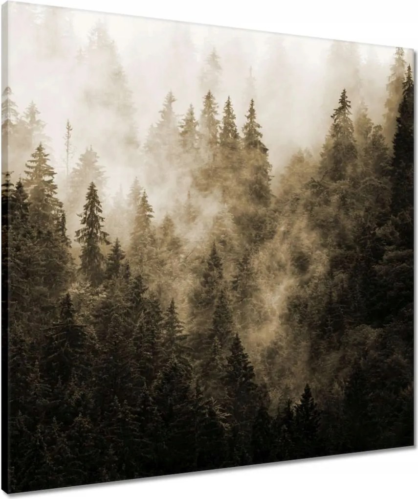 Vászonkép 60x60 Tájkép Szépia Hegyek Köd