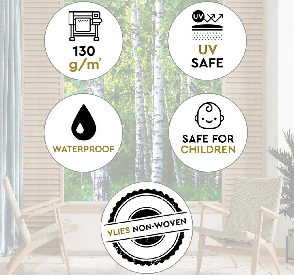 Gario Fotótapéta Nyírfa liget Anyag: Vlies, Méret: 200 x 280 cm