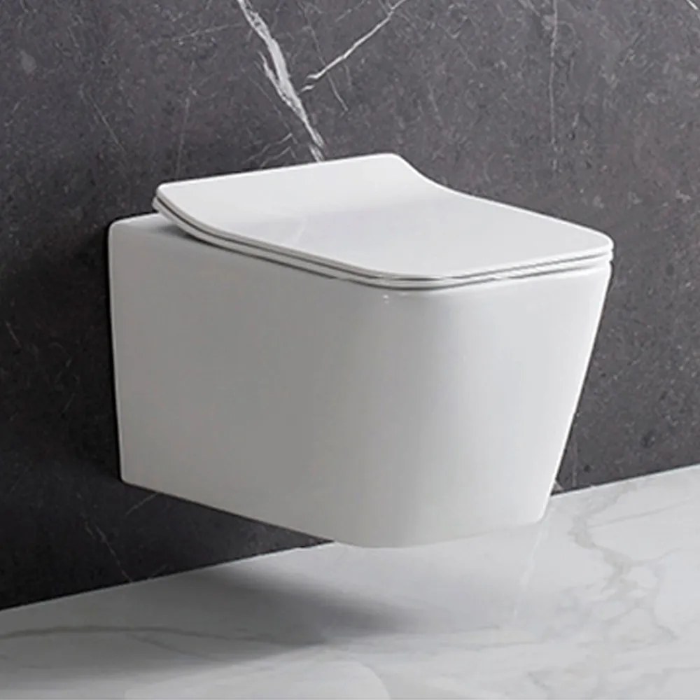Tina fali rimless WC
