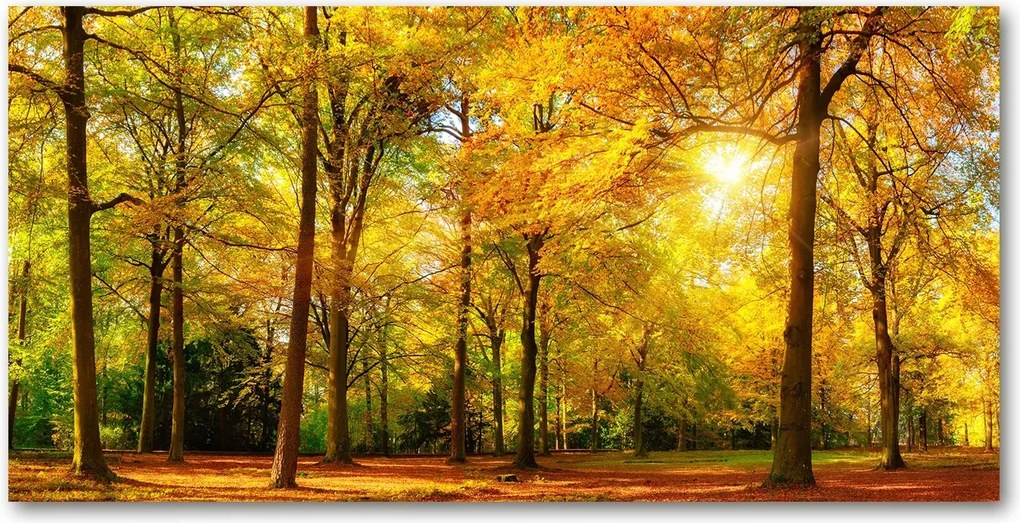 Fotó kép edzett üveg Őszi erdő 140x70
