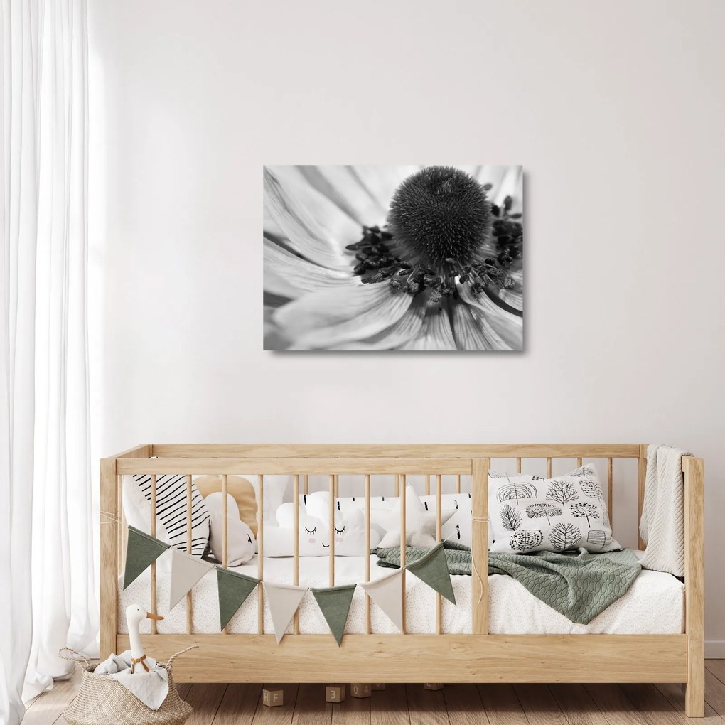 Üveg kép - Virág fekete-fehérben (70x50 cm)