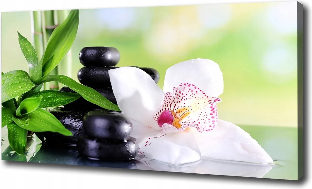 Canvas falikép Orchidea 120x60 cm