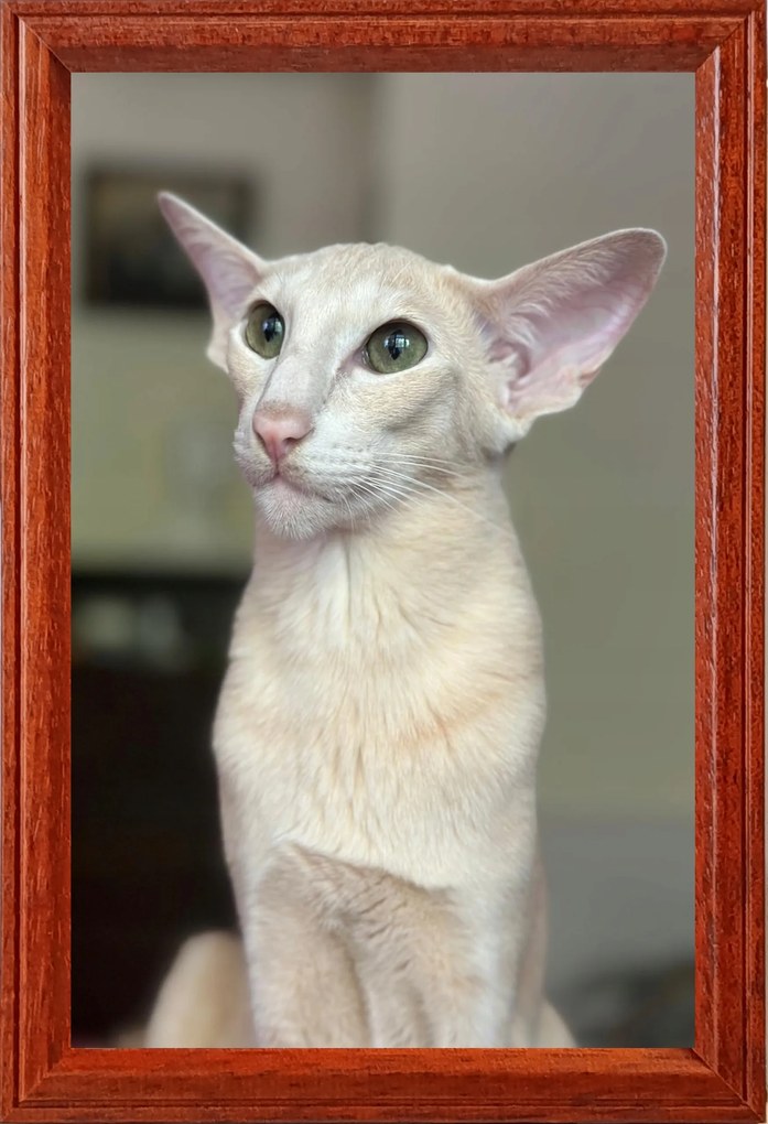 Képkeretek várnak rád 15x23 álló és felakasztható Delta barna