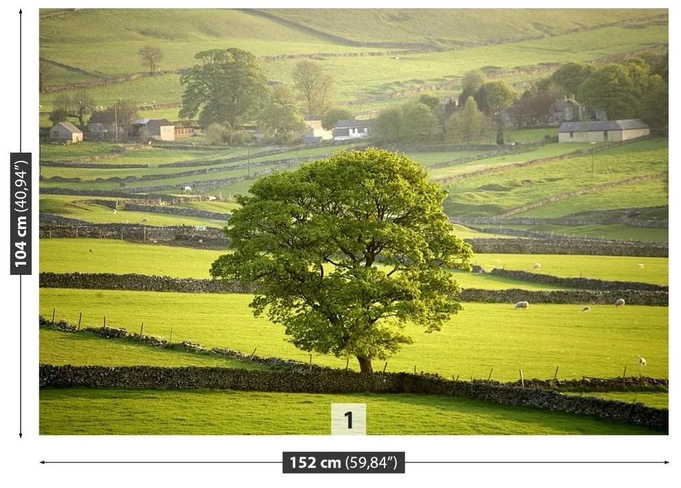 Fotótapéta Derbyshire England 104x70 cm