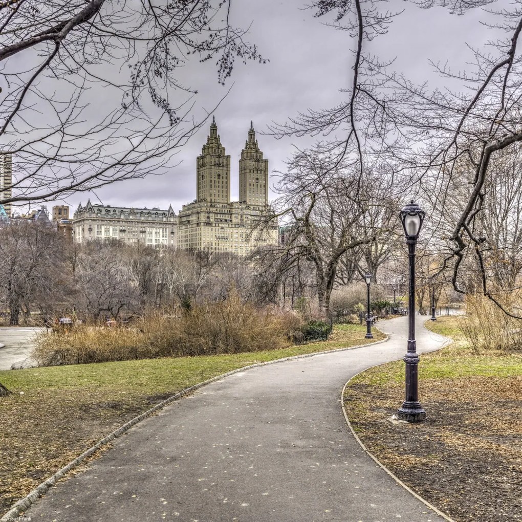 Poszter 30x30cm Ösvény a központi parkon át 3, Assaf Frank