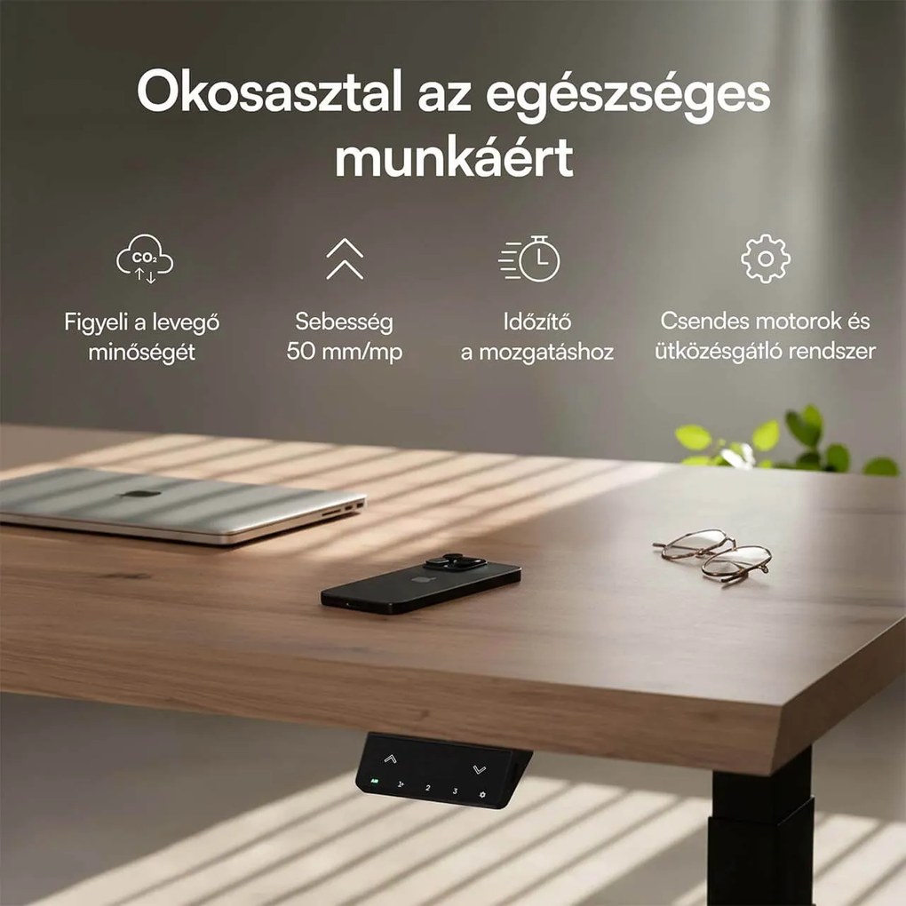 Elektromosan állítható magasságú asztal Liftor Expert, szürke