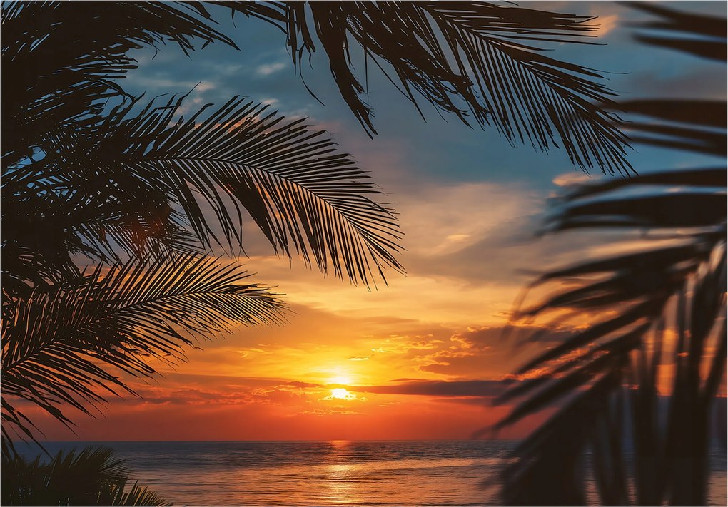 Fotótapéta Tengerpart Pálmafák 3D Természet Hálószoba Nappali Tapéta Flizelina 300x210