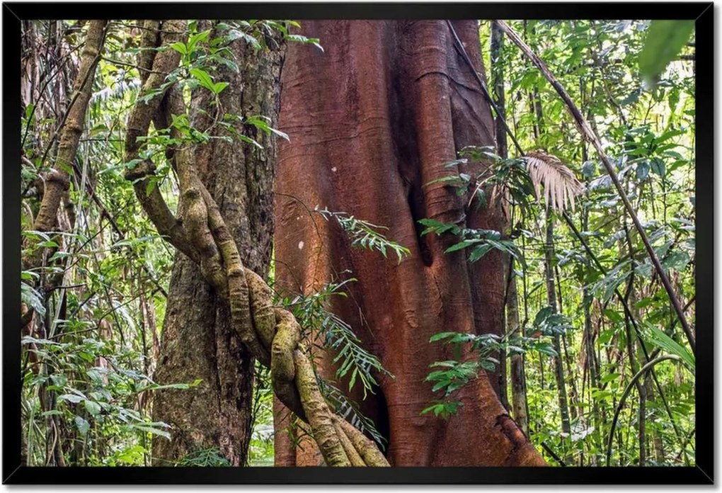 Poszterek keretben 60x40 Tájkép Látvány