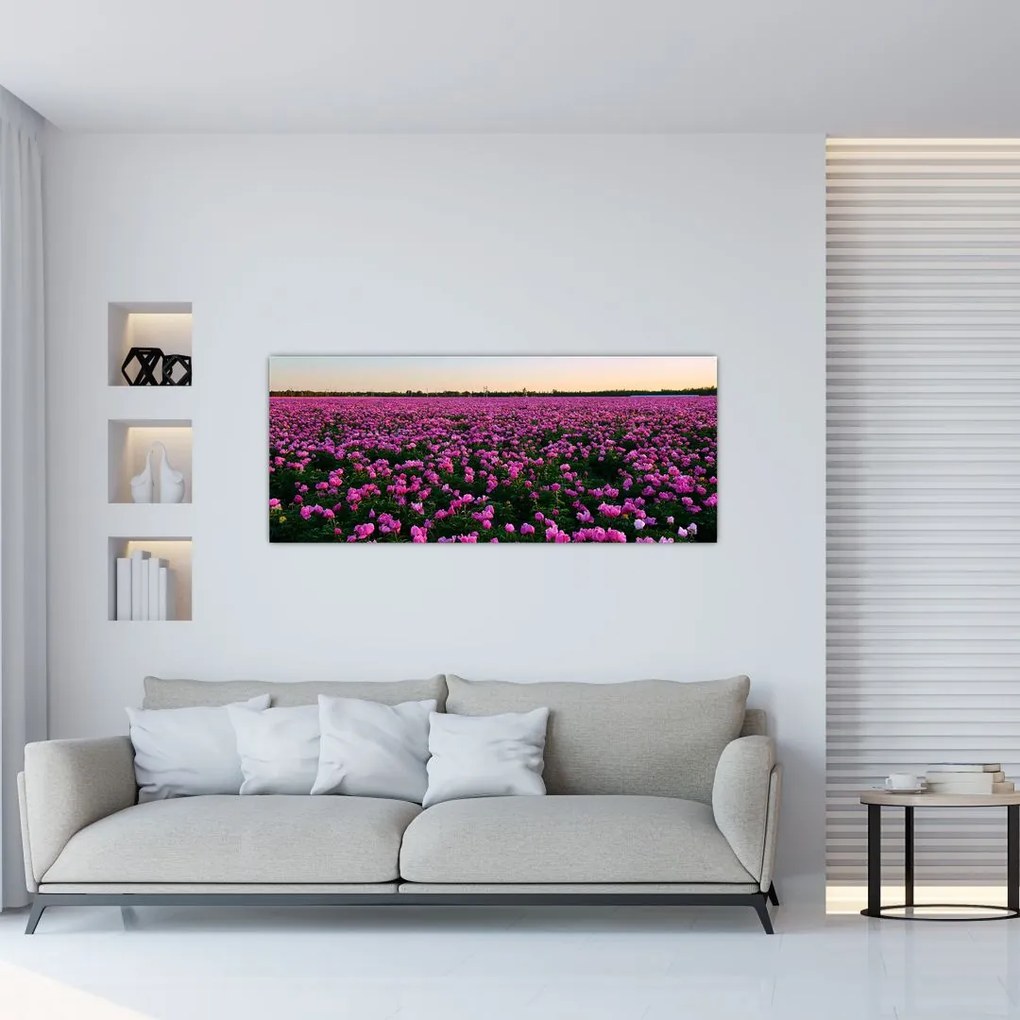 Kép - lila tulipánok rétje (120x50 cm)