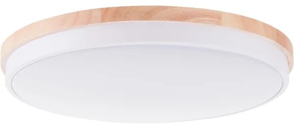 Brilliant - LED Dimmelhető mennyezeti lámpa BAARLO LED/36W/230V átm. 50 cm fehér + távirányító