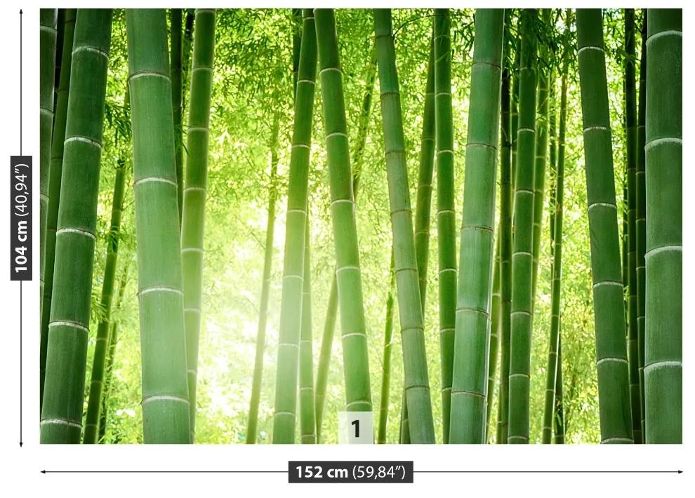 Fotótapéta bambusz erdő 104x70 cm