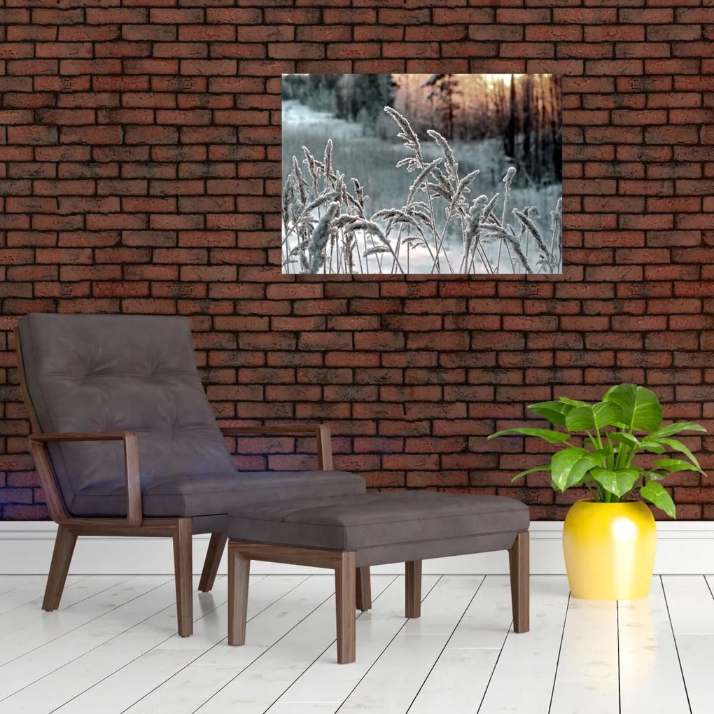 Üveg kép - Fagyott rét (70x50 cm)