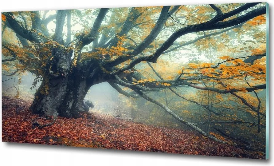 Fotó üvegkép Többszínű virágok 140x70