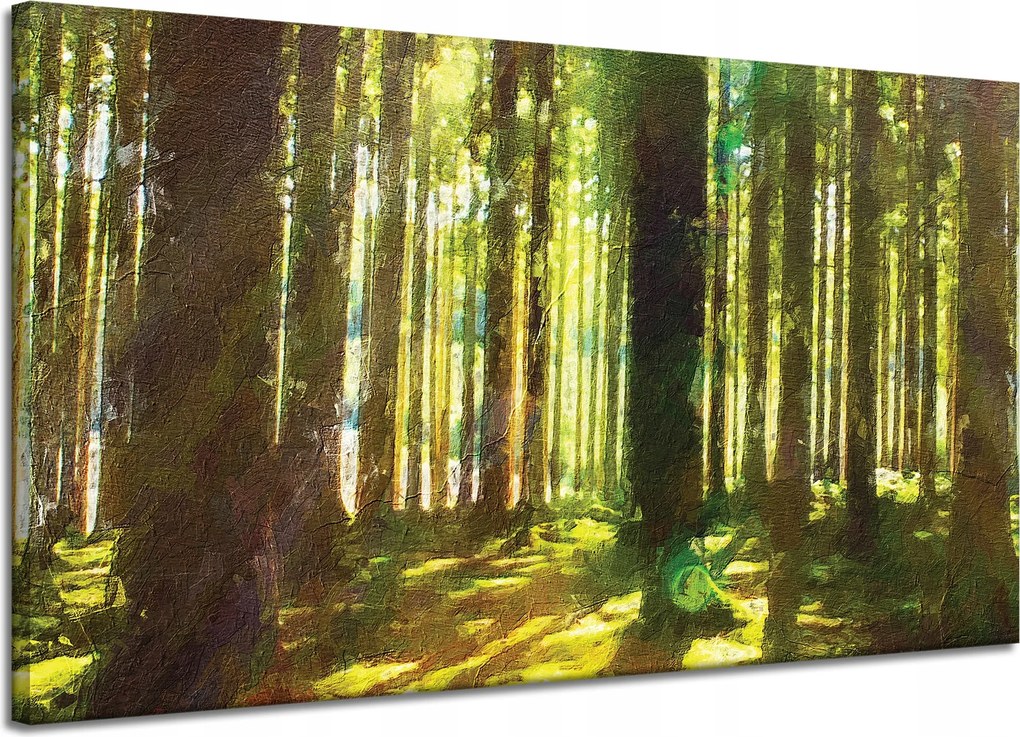 Vászonkép Olajerdő Fák Fény Természet 120x70 cm