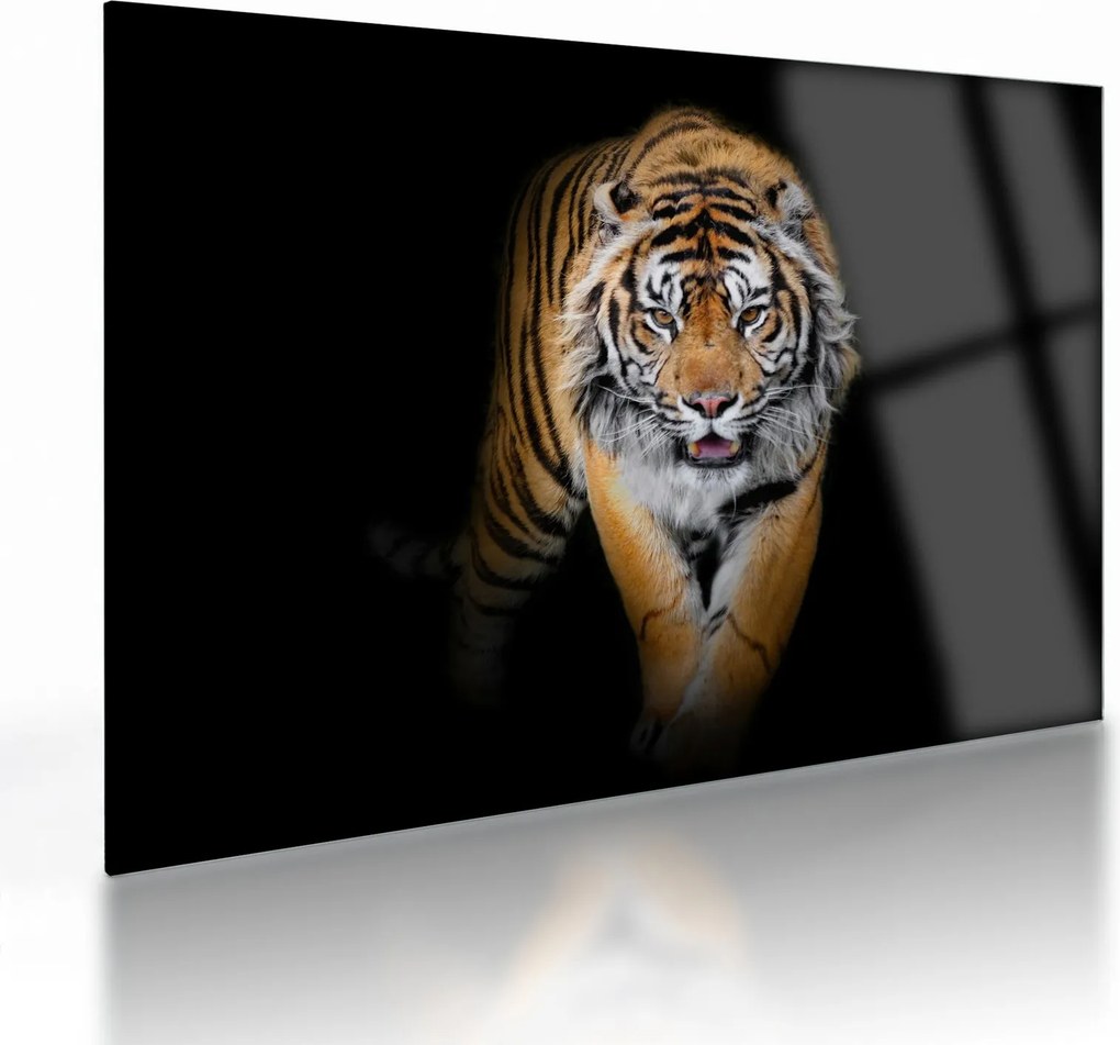 Üveg kép - Tigris (70x50 cm)