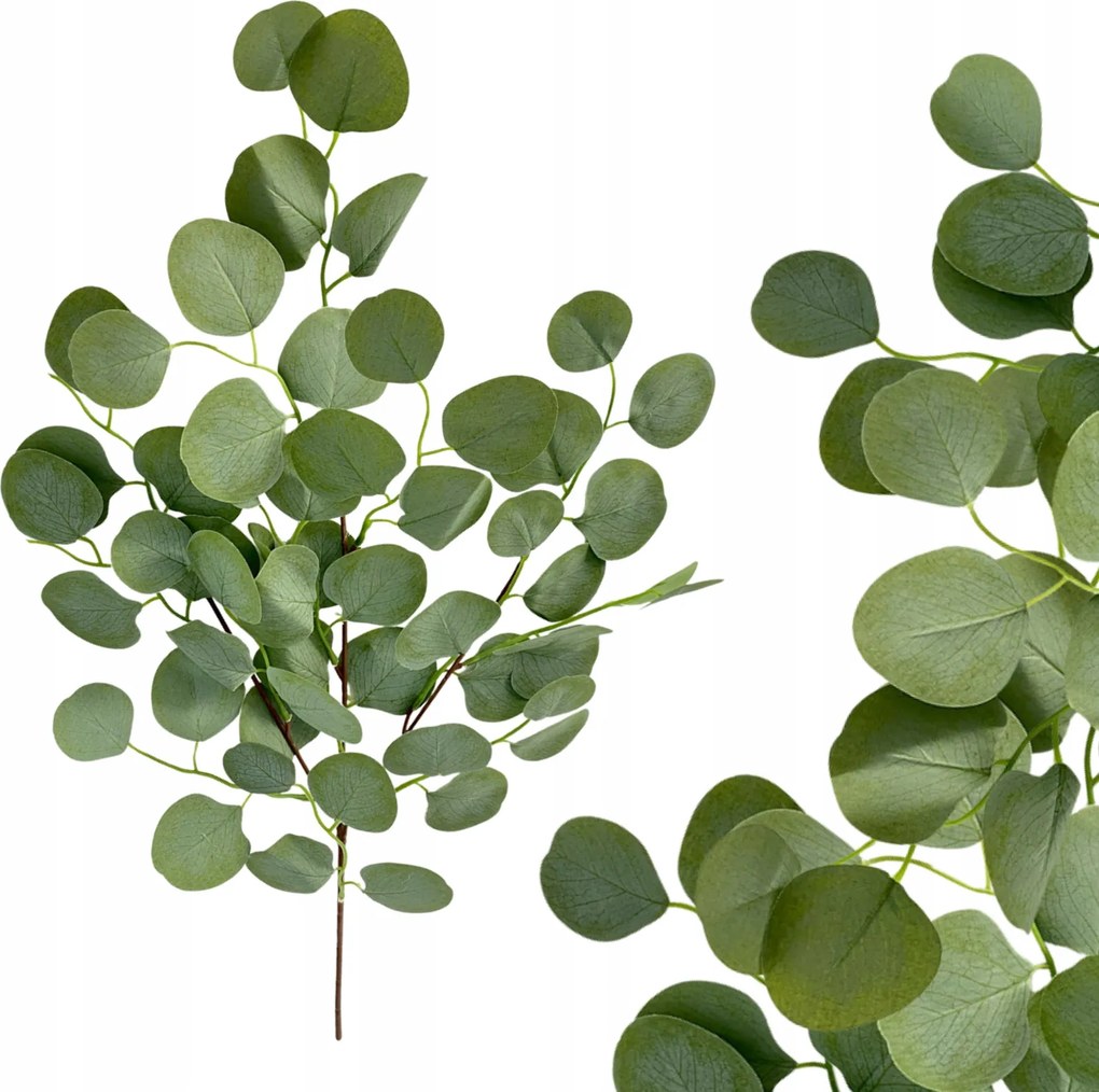 Mesterséges eukaliptusz ág levelekkel váza csokor nád dekoráció 66cm